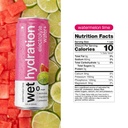 wet-hydration-functional-wellness-water--2.jpg