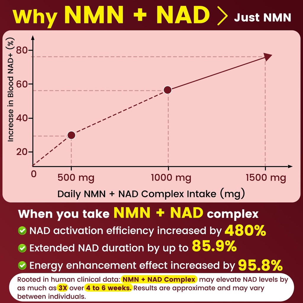 liposomal-nmn-supplement-nmnh-alternativ-4.jpg