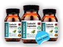 dr-wakde-s-guduchi-capsules-tinospora-co-5.jpg
