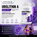 urolithin-a-500-mg-supplement-with-advan-2.jpg