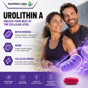 urolithin-a-500-mg-supplement-with-advan-5.jpg