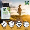 horse-chestnut-capsules-casta-o-de-india-4.jpg