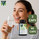 horse-chestnut-capsules-casta-o-de-india-5.jpg