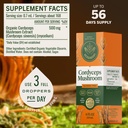 herbamama-cordyceps-sinensis-tincture-ve-3.jpg