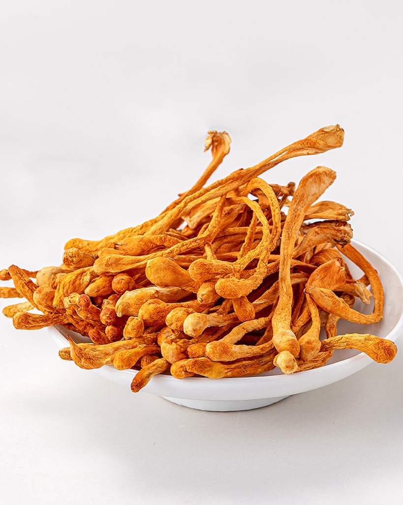 dried-whole-cordyceps-mushroom-4-0-oz-al-4.jpg