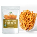 dried-whole-cordyceps-mushroom-4-0-oz-al-2.jpg