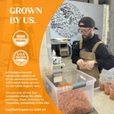 hodgins-harvest-organic-cordyceps-mushro-2.jpg