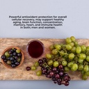 vidanat-resveratrol-300-mg-antioxidant-s-6.jpg