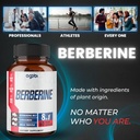 berberine-supplement-with-ceylon-milk-th-5.jpg