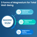 magnesium-glycinate-gummies-2200mg-high--3.jpg