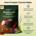 mushroom-cocoa-functional-hot-cocoa-for--4.jpg