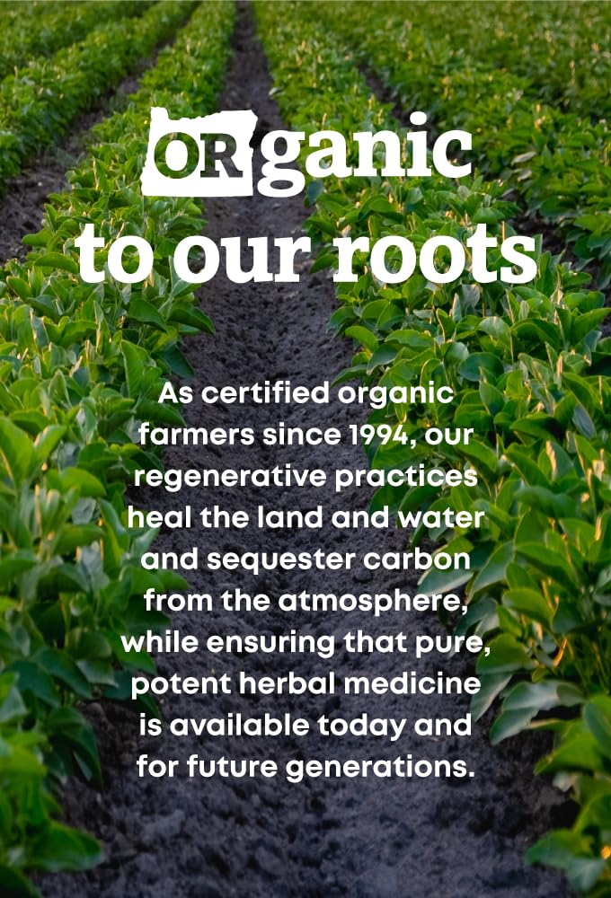 oregon-s-wild-harvest-non-gmo-ginkgo-cap-6.jpg