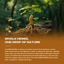 ginkgo-biloba-extract-liquid-drops-for-b-6.jpg