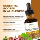 ginkgo-biloba-extract-liquid-drops-for-b-3.jpg