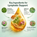 bun-bons-lymphoria-lymphatic-drainage-we-6.jpg