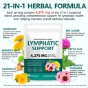 lymphatic-drainage-supplements-4275mg-ly-3.jpg