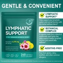 lymphatic-drainage-supplements-lymph-sys-3.jpg