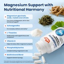 vev-deep-calm-15-in-1-magnesium-glycinat-6.jpg