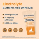 nativepath-hydrate-electrolyte-stick-pac-4.jpg