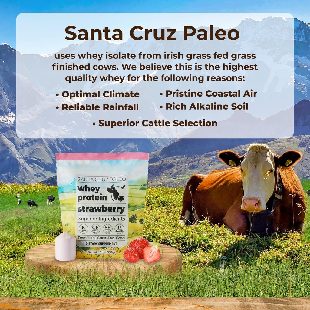 santa-cruz-paleo-whey-protein-powder-str-3.jpg