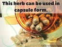 black-jujube-fruit-herb-extract-powder-d-4.jpg