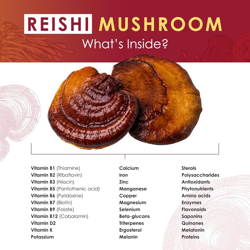reishi-powder---organic-mushroom-extract-4.jpg