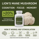 premium-organic-lion-s-mane-mushroom-sup-2.jpg