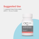 arg-lumbrokinase-circulatory-system-supp-6.jpg