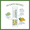 organic-ginger-limeaid-hydration-powder--3.jpg