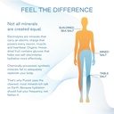 organic-ginger-limeaid-hydration-powder--6.jpg