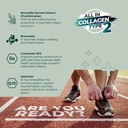 all-in-collagen-type-2-complex-advanced--4.jpg