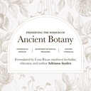 anima-mundi-apothecary-moringa-leaf-powd-2.jpg