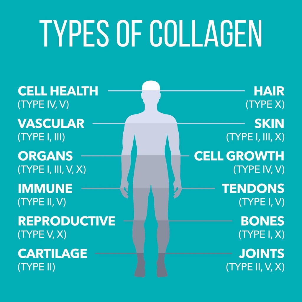 naturesplus-collagen-peptides-20-stick-p-4.jpg