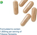 nutra-biogenesis-andro-plus---tribulus-t-6.jpg