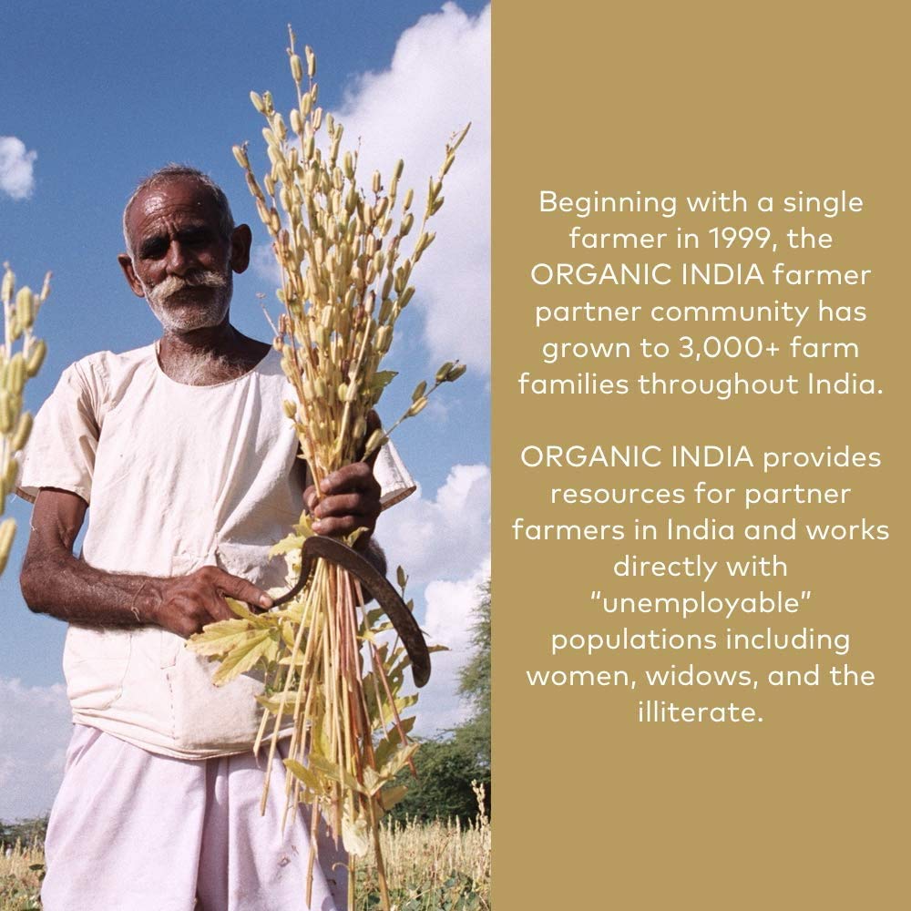 organic-india-amla-powder-holy-basil-imm-3.jpg