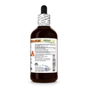amla-alcohol-free-extract-glycerite-for--2.jpg