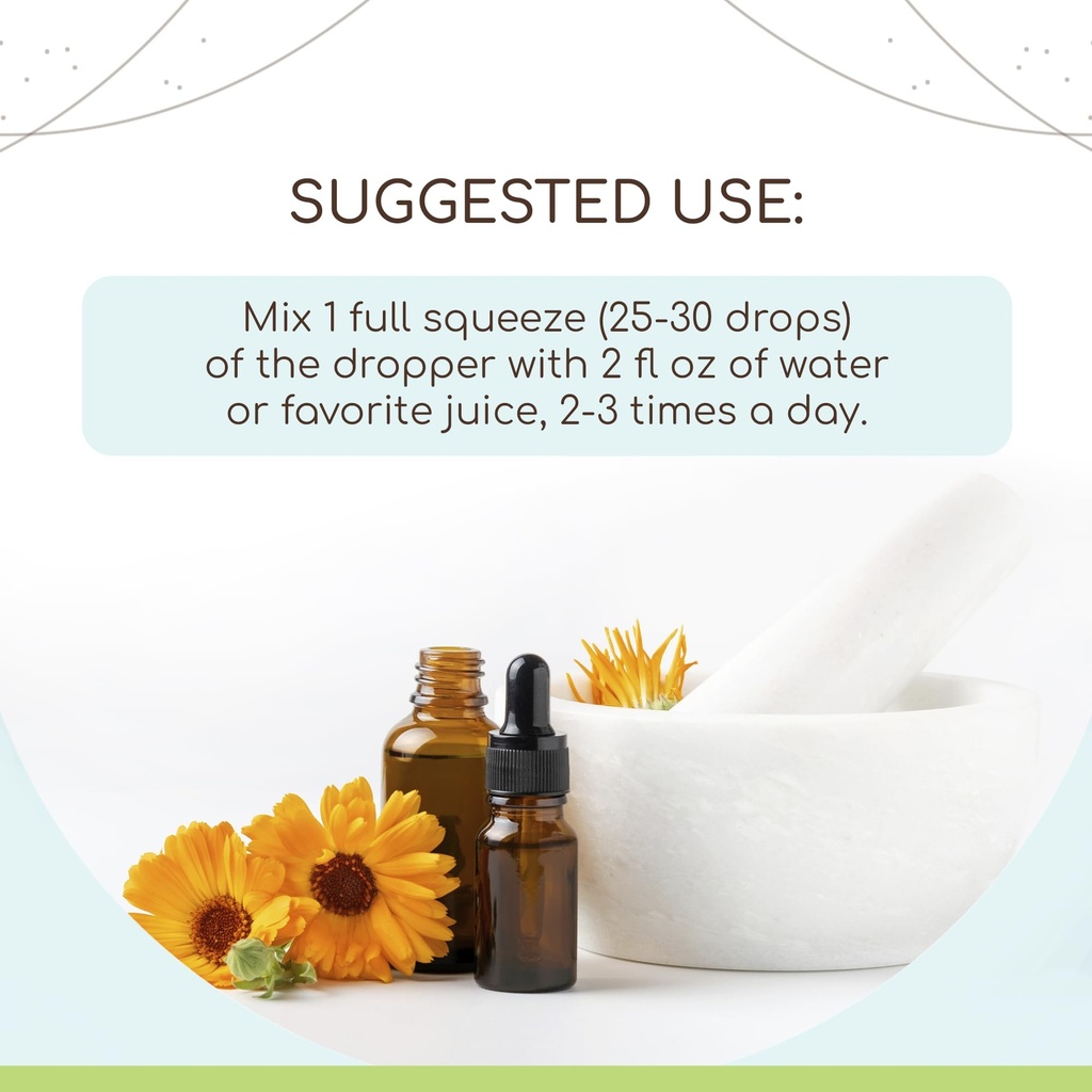 angelica-b120-alcohol-free-herbal-extrac-2.jpg