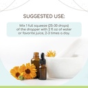 angelica-b120-alcohol-free-herbal-extrac-2.jpg