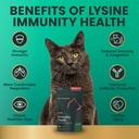 vetriscience-lysine-immunity-health-chew-4.jpg