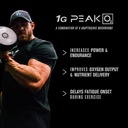 jacked-factory-nitrosurge-pre-workout-in-3.jpg