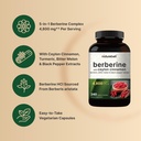 naturebell-berberine-with-ceylon-cinnamo-3.jpg