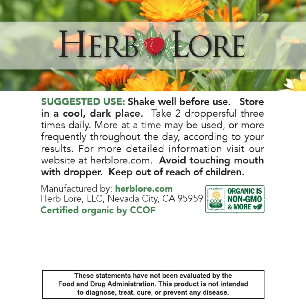 herb-lore-organic-moringa-tincture-liqui-6.jpg