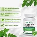 omogs-moringa-capsules-pure-moringa-olei-4.jpg