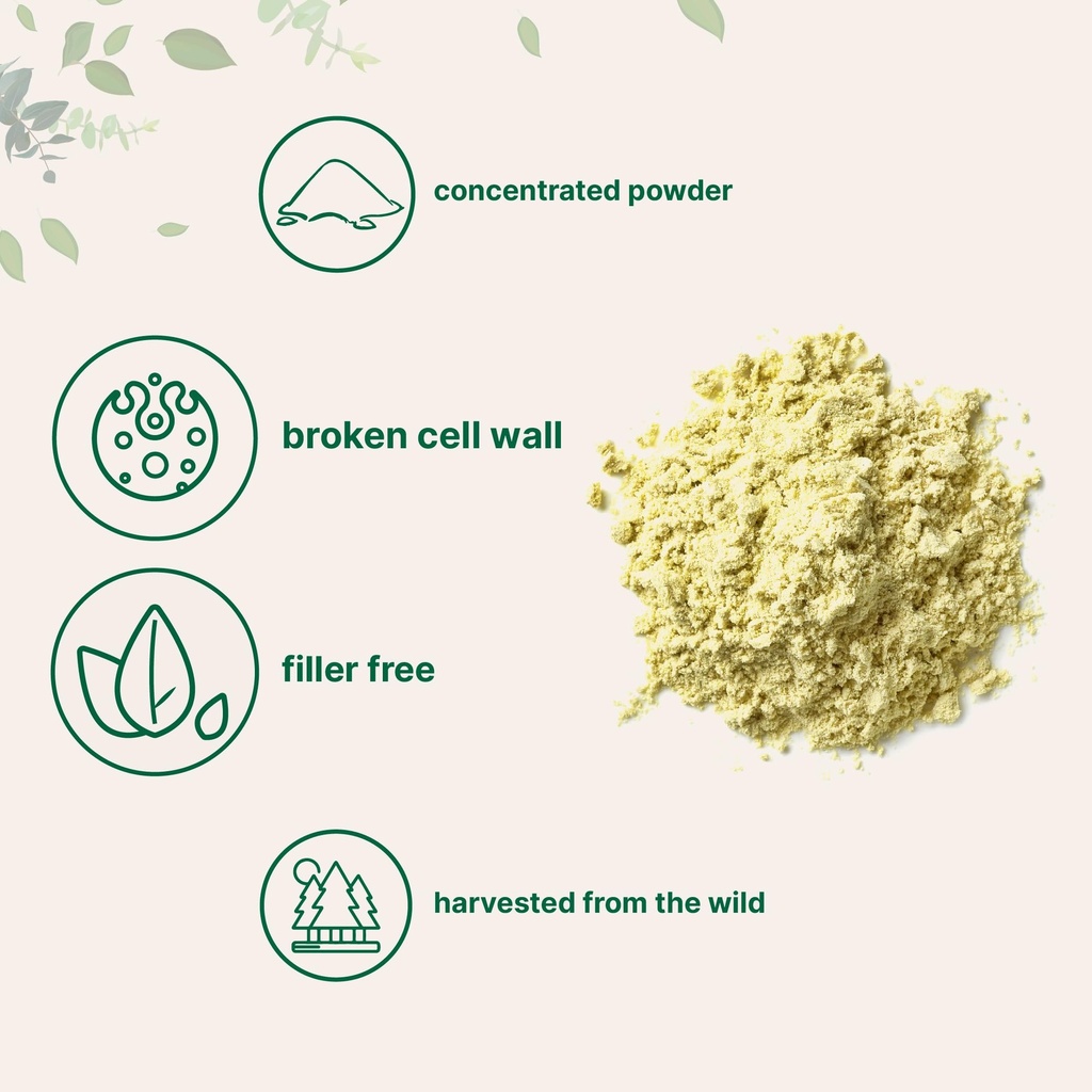 pure-pine-pollen-powder-6-ounce-wild-har-3.jpg