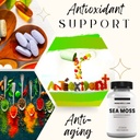 research-labs-organic-irish-sea-moss-cap-4.jpg