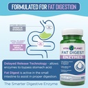 vital-planet-digestive-enzymes-fat-diges-4.jpg