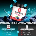 creatine-monohydrate-gummies-5000mg-nsf--4.jpg