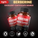 premium-berberine-supplement-with-ceylon-6.jpg