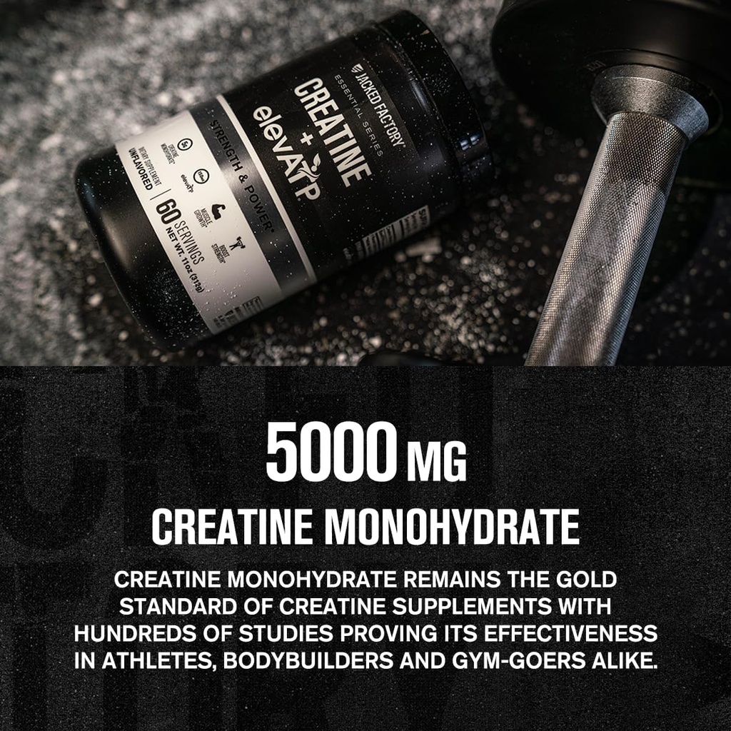 jacked-factory-creatine-elevatp---creati-3.jpg