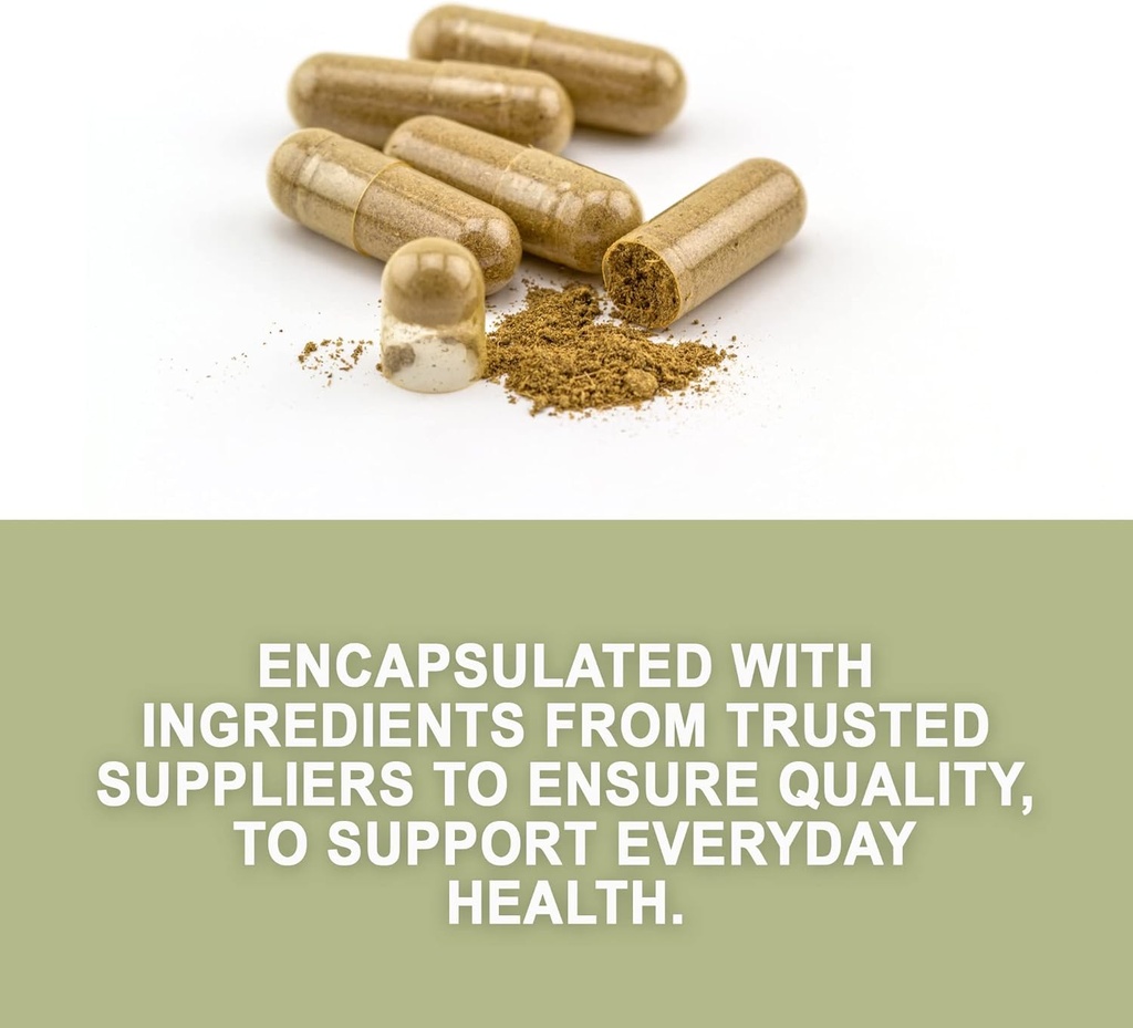 evergreen-herbs-cuachalalate-herb-amphip-4.jpg